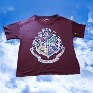 Harry Pottert Hogwart's T-Shirt